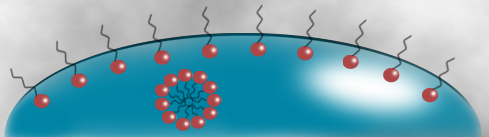 Formation de micelles