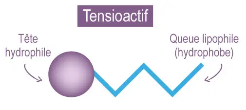 Représentation d'un tensioactif