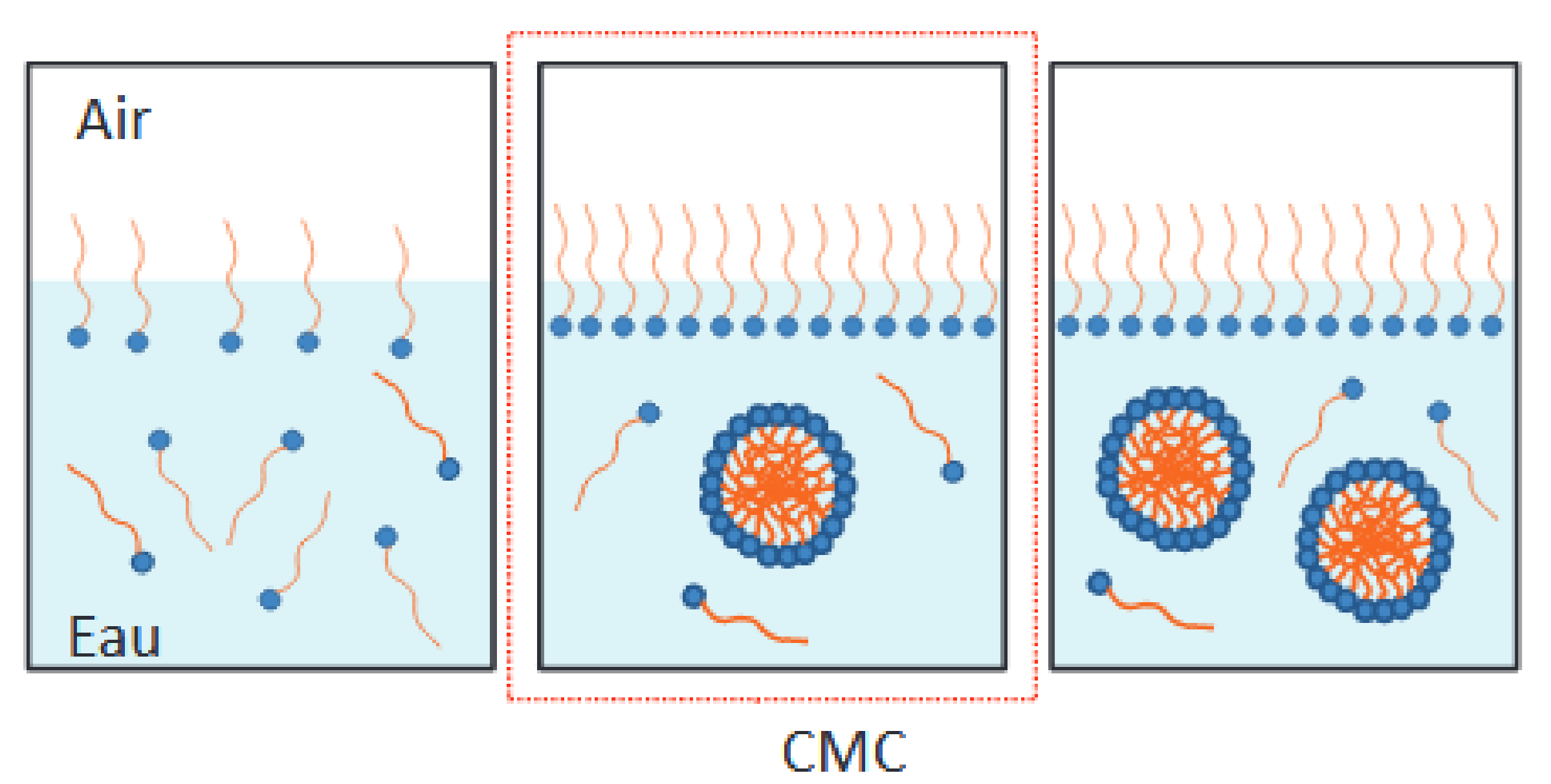 Formation des micelles