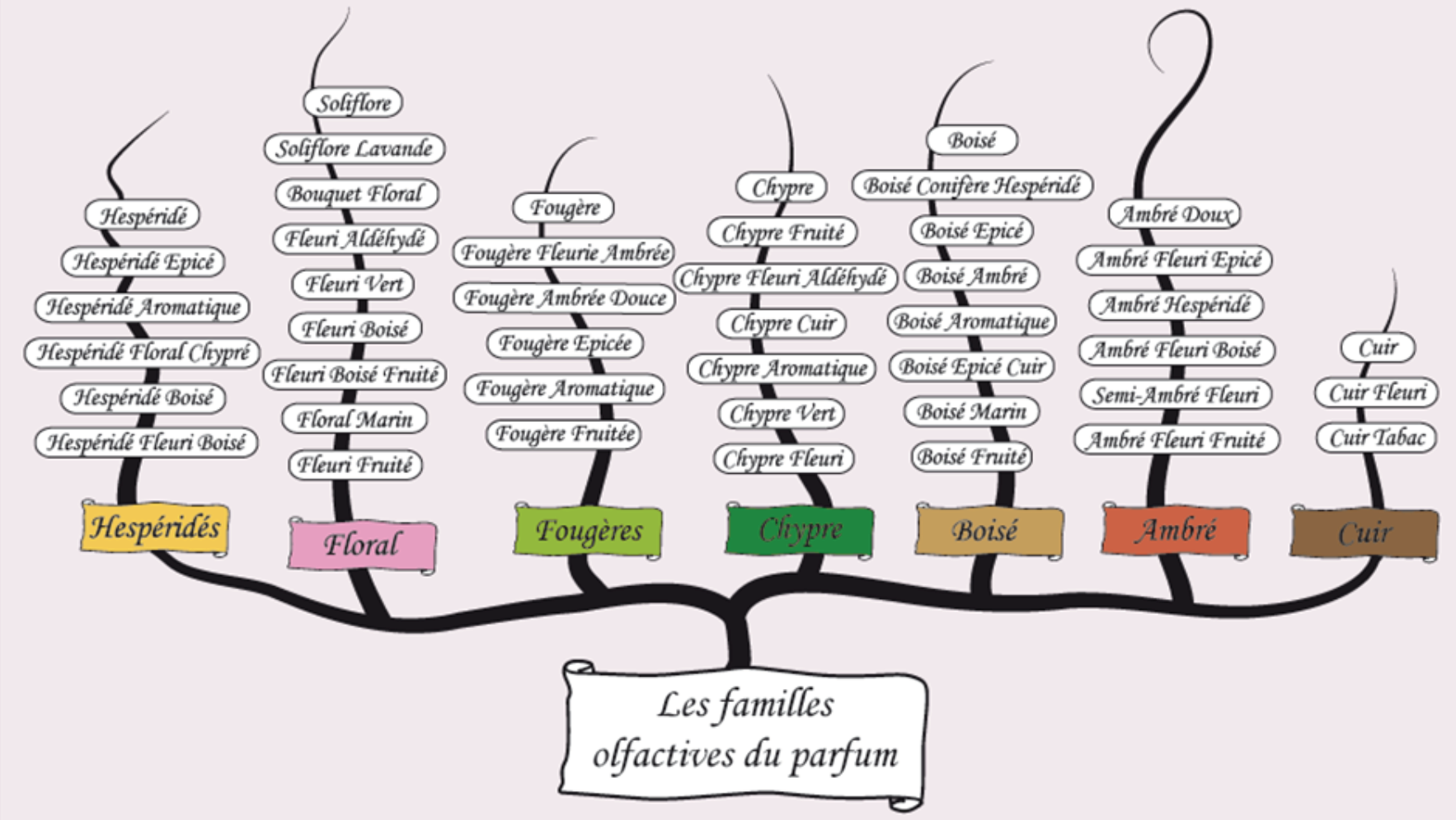 Familles olfactives