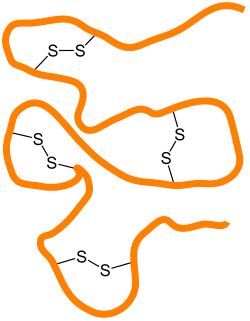 Pont disulfure S-S
