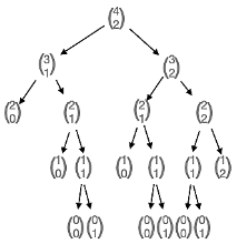 arbre de calculs binomiaux